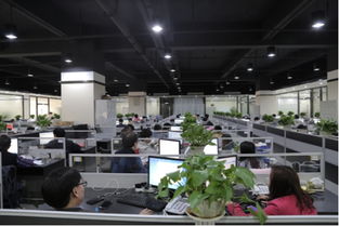 走訪歡酷 以技術轉讓為紐帶，筑牢產品安全與質量的基石